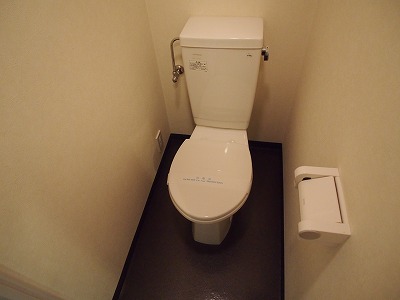 Toilet. Toilet