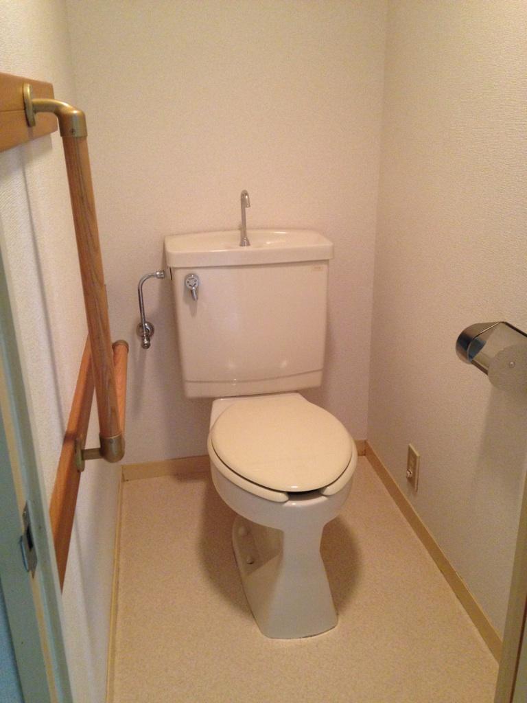 Toilet. Indoor (11 May 2013) Shooting