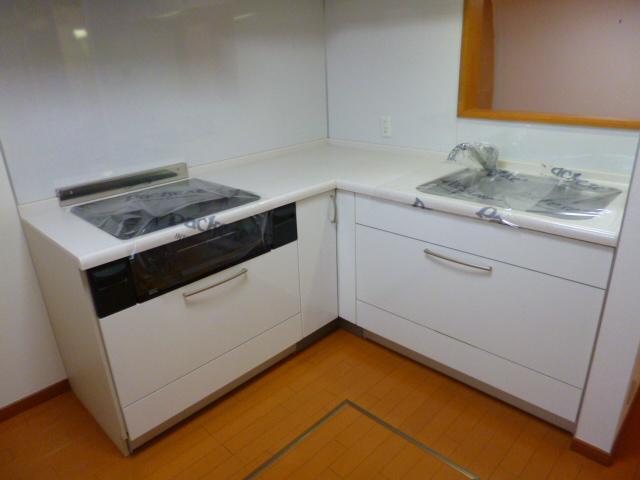 Kitchen. Indoor (11 May 2013) Shooting