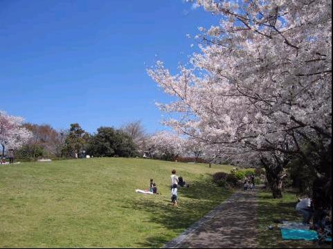 park. 662m to Honmoku summit park (park)