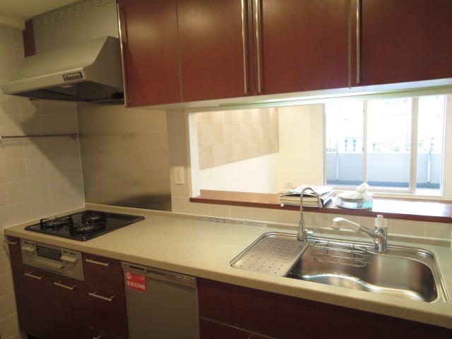 Kitchen. Indoor (September 2013) Shooting