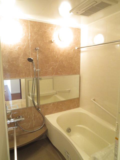 Bathroom. Indoor (September 2013) Shooting