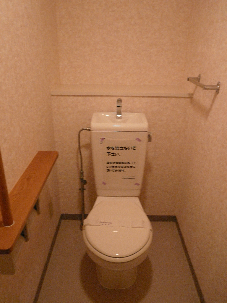 Toilet. The photograph is another dwelling unit of the same type.