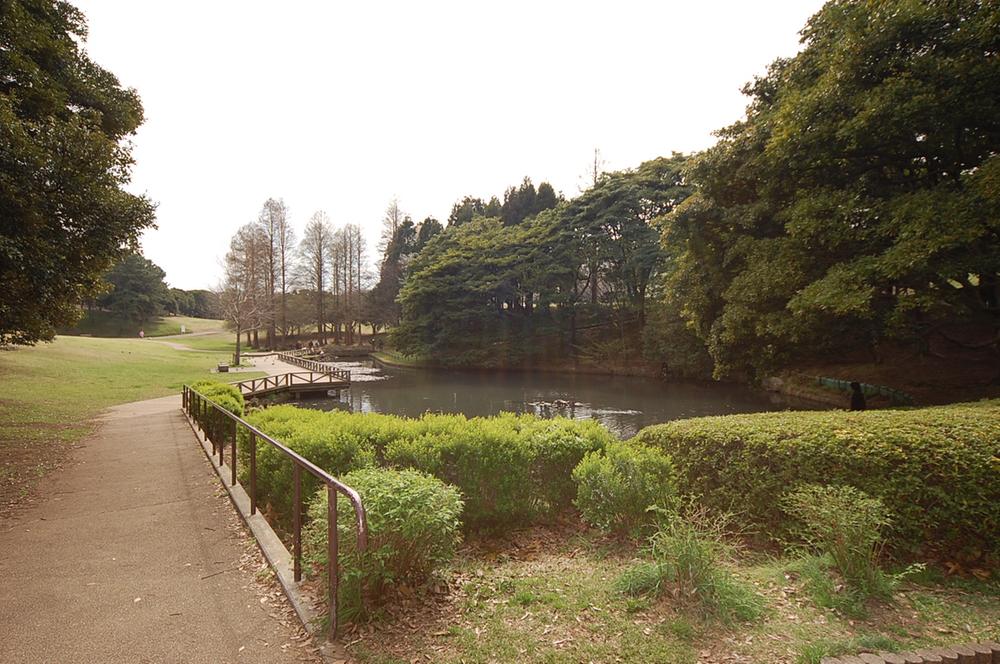 park. Forest Park to feel the seasons 200m four seasons until Negishi Forest Park. Sakura is a vast site, lawn, Pond, etc., There are refreshing becomes point number if the walk.