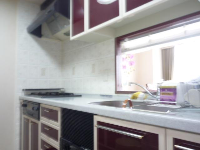 Kitchen. Indoor (February 2013) Shooting