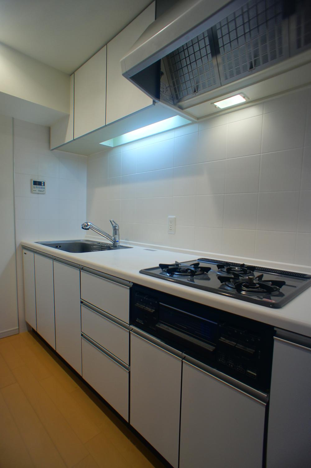 Kitchen. Water purifier installation (December 2013) Shooting