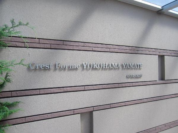 Other local. Relief is