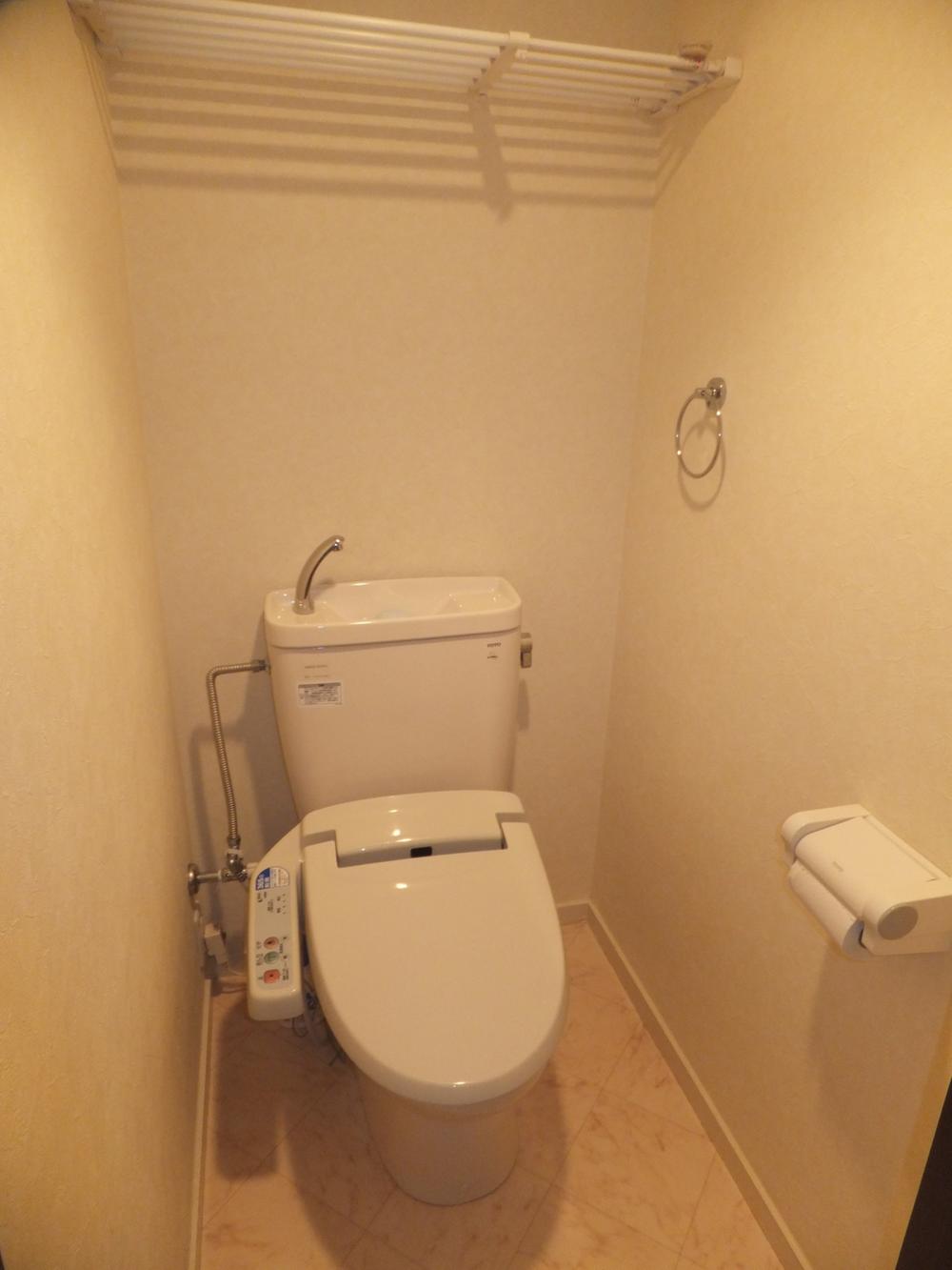 Toilet. April 2010 toilet exchange.