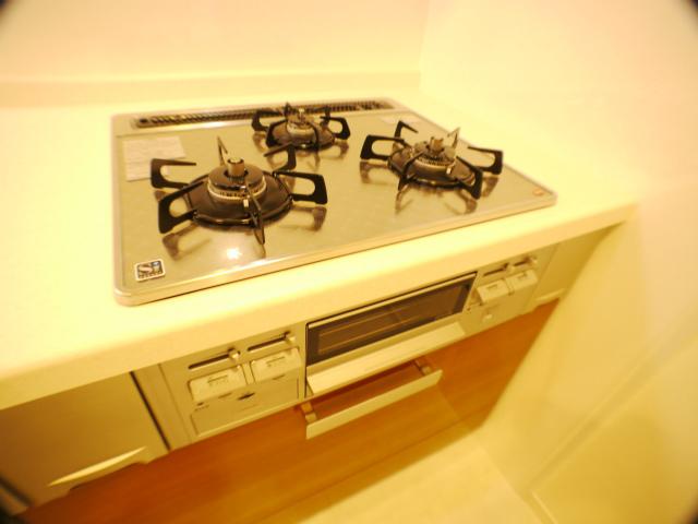 Kitchen. Stove burner