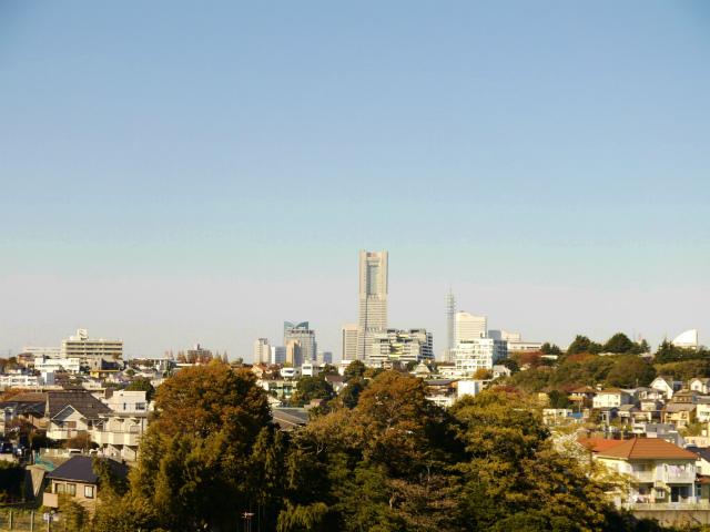 View photos from the dwelling unit. View from the aisle