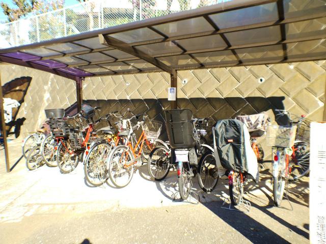 Parking lot. Bicycle-parking space