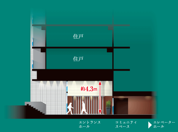 Features of the building.  [Entrance Hall cross-section] (Conceptual diagram)