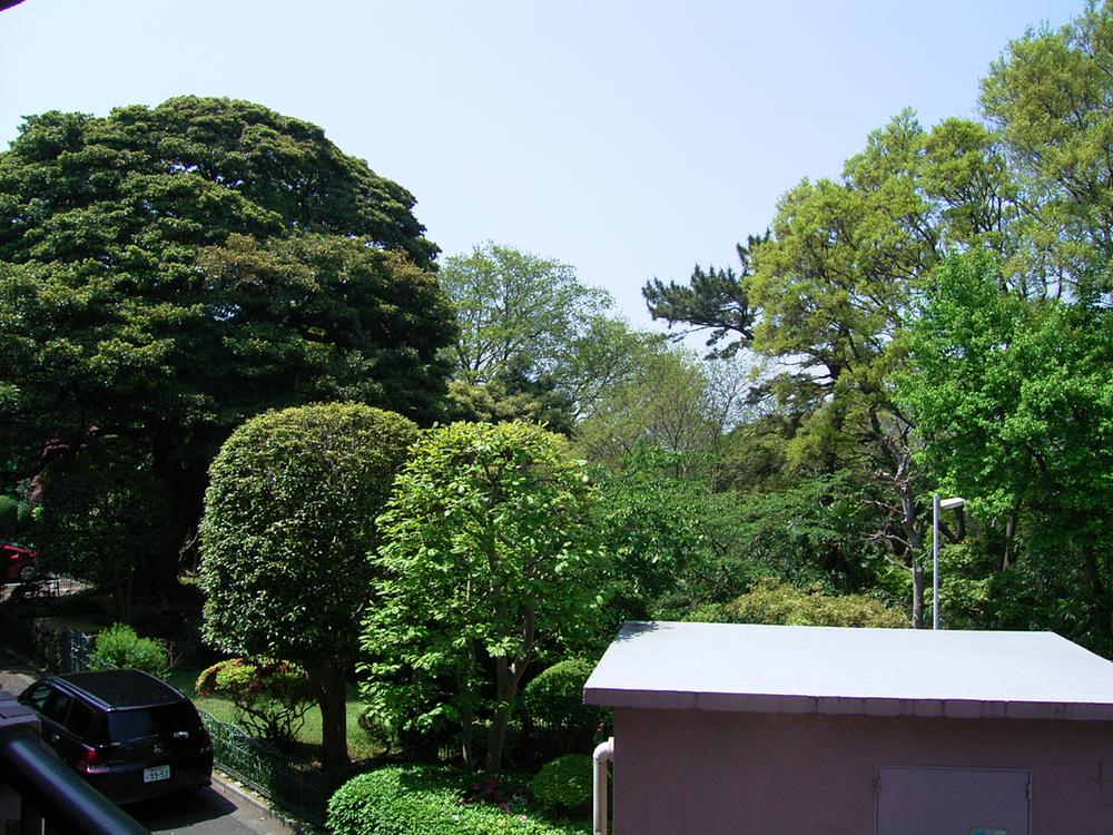 View photos from the dwelling unit. From the west balcony, You can admire the green of the surrounding.