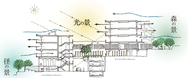 Features of the building.  [Building cross-section illustrations] Two buildings configuration utilizing a gentle southern slope. By providing a constant distance between the residential building, Rich sunshine poured into each dwelling unit of Zenteiminami direction, It has secured a way of refreshing wind that flows from Tokyo Bay in Forest Park Negishi.