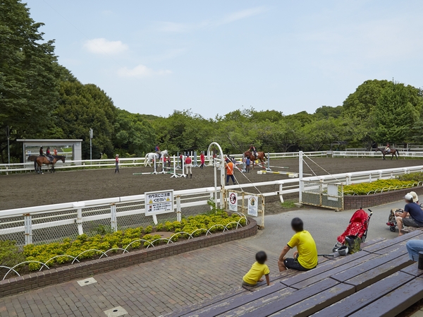 Negishi Negishi horse racing memorial public garden which is adjacent to Forest Park (pony Center is a facility of Oyakesononai) ※ Horse Museum (100 yen for adults, Small mid-high 30 yen) except Nyusonoryo Free