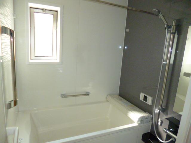 Bathroom. Indoor (11 May 2013) Shooting