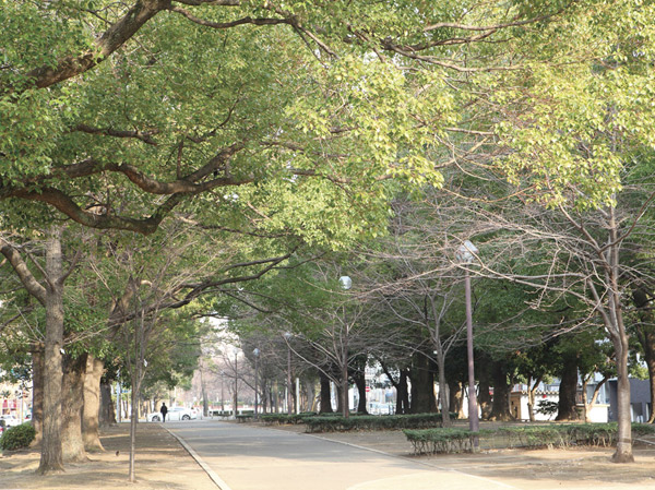 Surrounding environment. Odori Park (about 700m ・ A 9-minute walk)