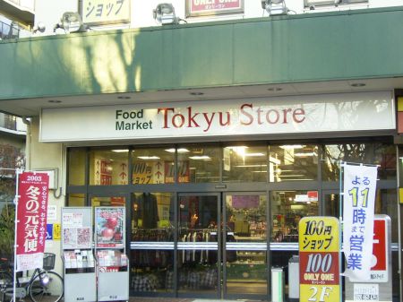 Other. Tokyu Store Chain