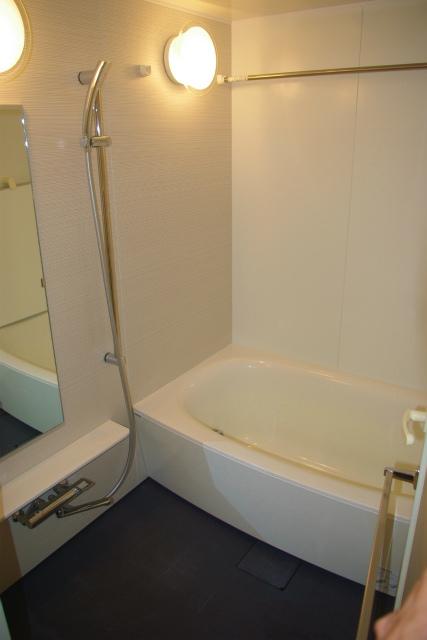 Bathroom. Indoor (11 May 2013) Shooting