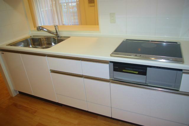 Kitchen. Indoor (11 May 2013) Shooting