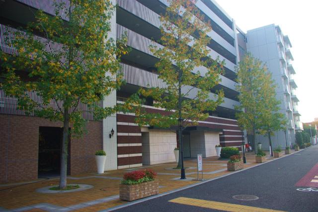 Local appearance photo. Local (11 May 2013) Shooting