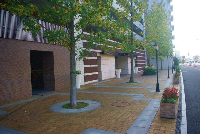 Local appearance photo. Local (11 May 2013) Shooting