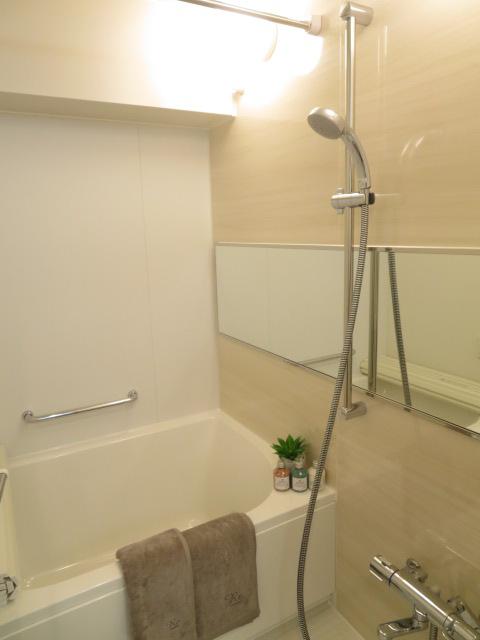 Bathroom. Indoor (11 May 2013) Shooting