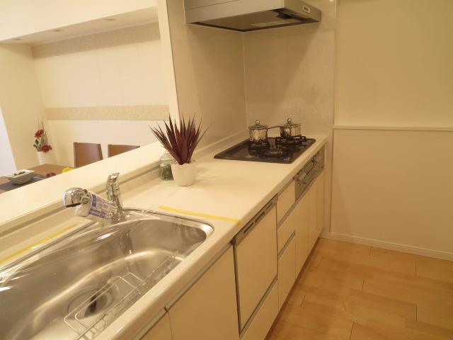 Kitchen. Indoor (11 May 2013) Shooting