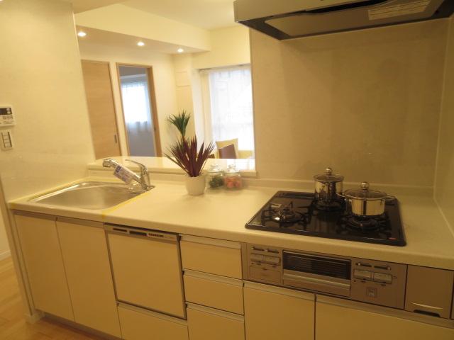 Kitchen. Indoor (11 May 2013) Shooting