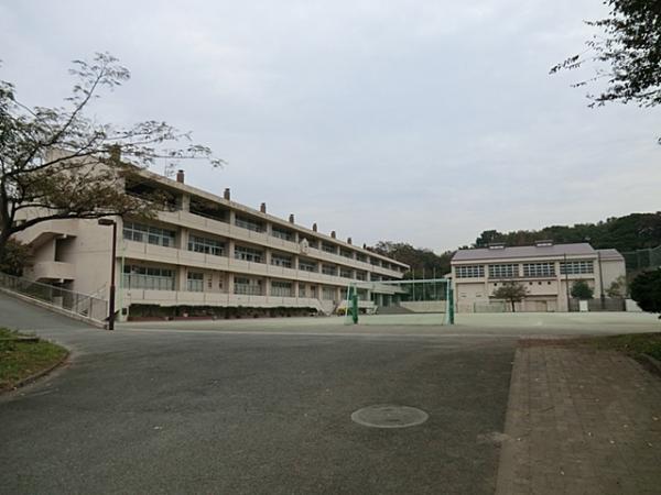 Primary school. Honmoku to elementary school 240m