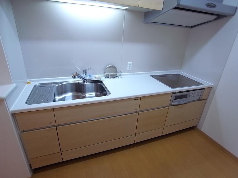 Kitchen. Popular IH cooking heater!