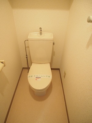 Toilet. Toilet