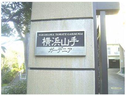 Other local. Relief is