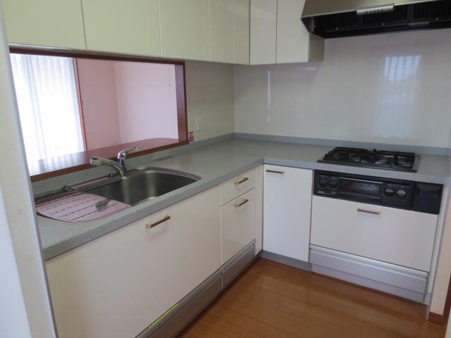 Kitchen. Indoor (12 May 2013) Shooting