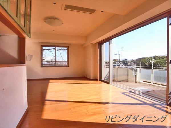 Living. Indoor (January 2013) Shooting