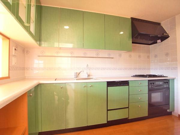 Kitchen. Indoor (January 2013) Shooting