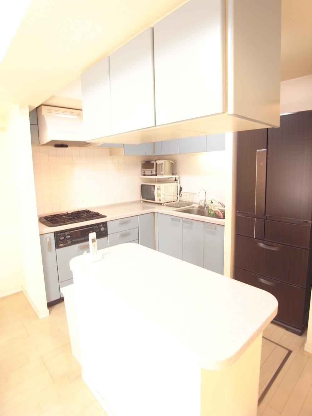 Kitchen. Indoor (11 May 2013) Shooting