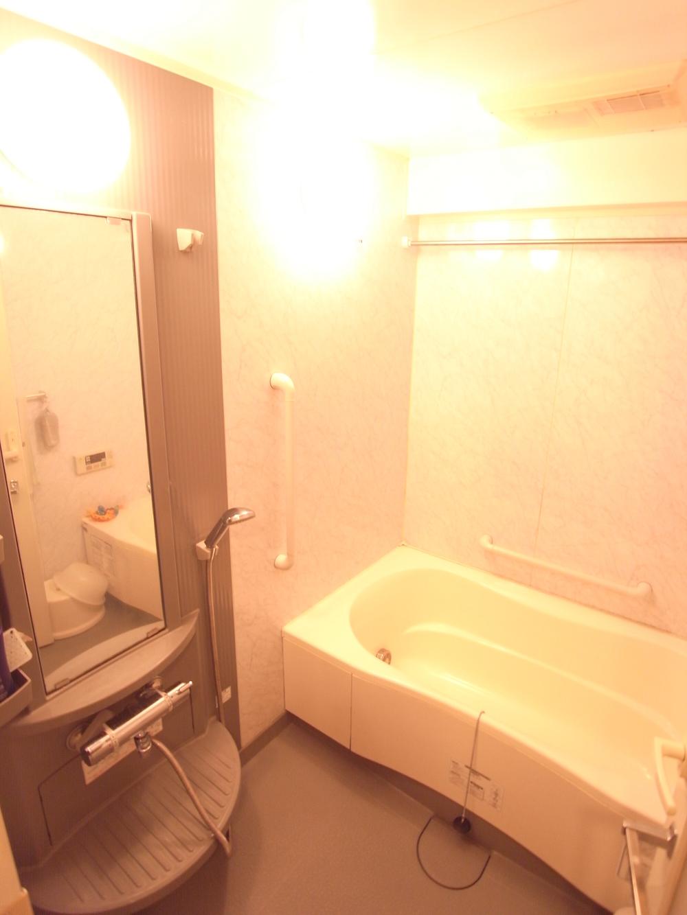 Bathroom. Indoor (2013 November shooting)