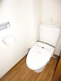 Toilet. Happy cleaning function with toilet seat