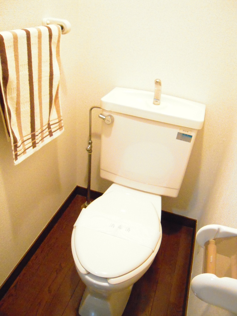 Toilet. Simple toilet