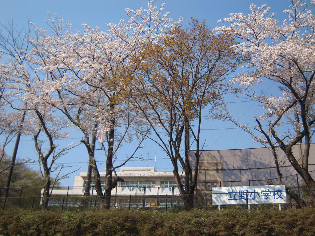 Primary school. 564m to Yokohama Municipal Tateno Elementary School (elementary school)