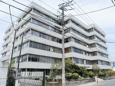 Local appearance photo. Local (May 2013) Shooting