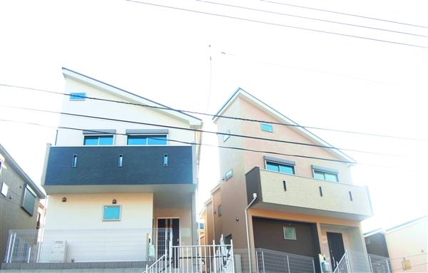 Local appearance 2013 / 12 shooting