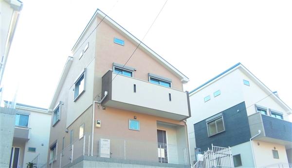 Local appearance photo. Local appearance 2013 / 12 shooting