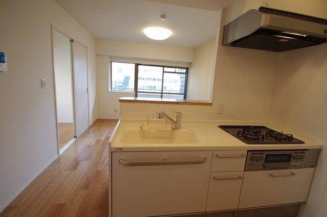 Kitchen. Face-to-face kitchen