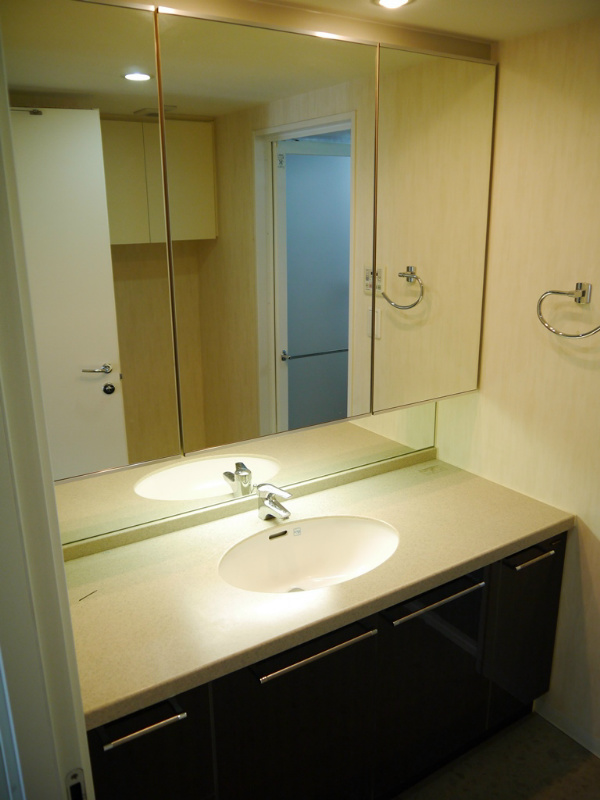 Washroom. Stylish independent vanity