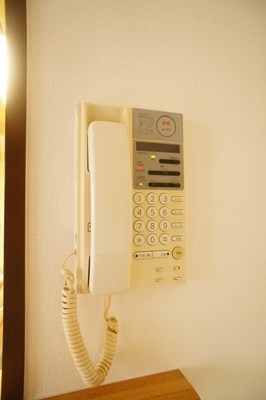 Security. Intercom of peace of mind