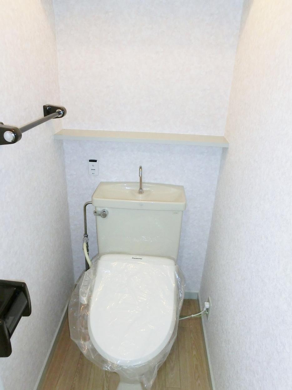 Other introspection. Toilet