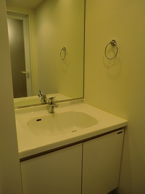 Washroom. It is a photograph of an independent basin other rooms.