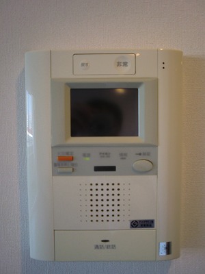 Security. Intercom is a picture of the other rooms with monitor.